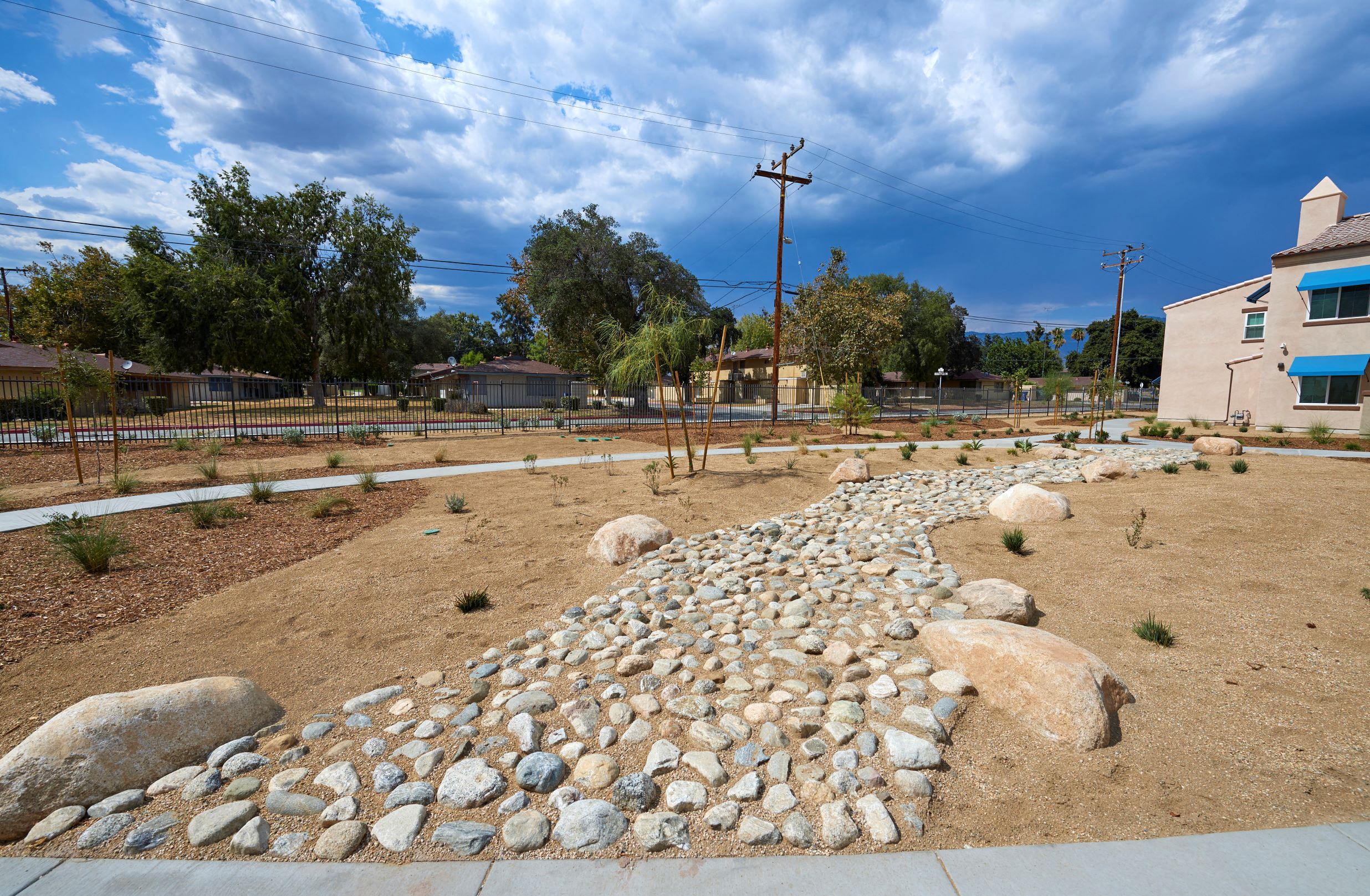 Olive Meadow Walking Path